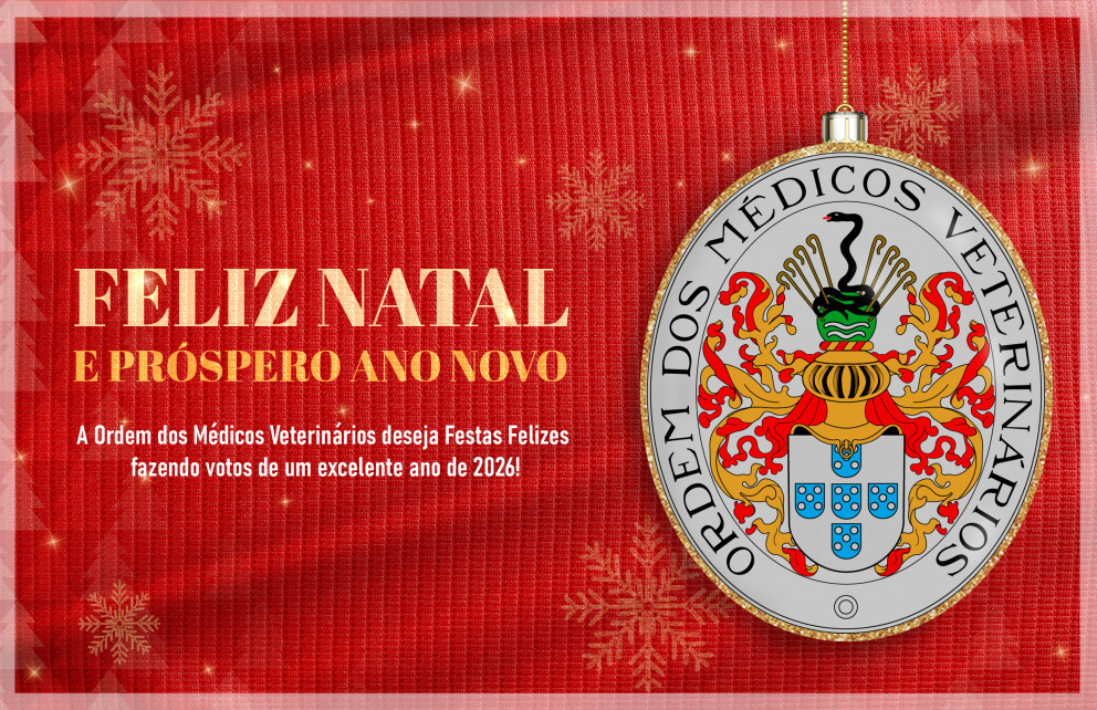 A OMV deseja-lhe Boas Festas!