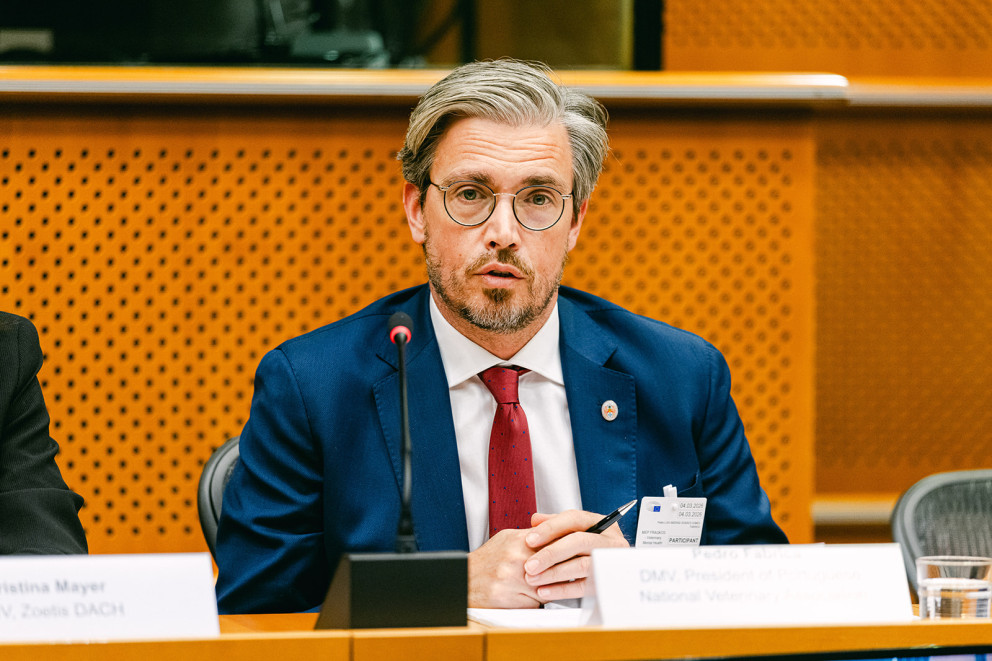 Ordem dos Médicos Veterinários esteve presente no Parlamento Europeu