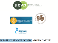 Buiatrics Summer School 