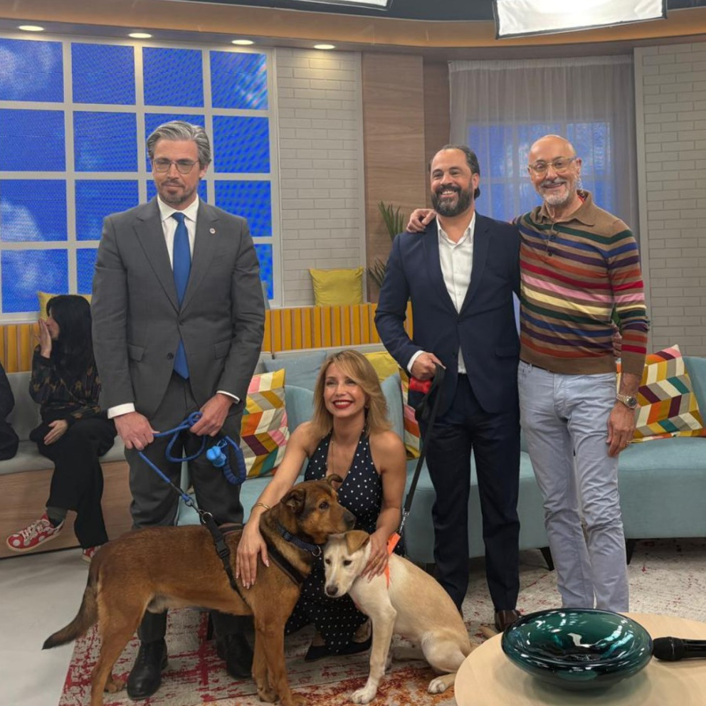 Bastonário promove luta contra maus-tratos animais