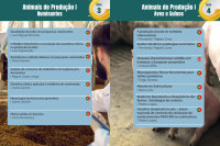 Produção animal: está a acompanhar os desafios que estão a mudar o setor?