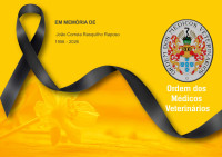Falecimento do Colega João Correia Rasquilho Raposo