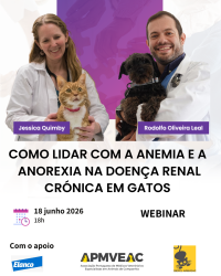 Webinar: Como lidar com a anemia e a anorexia na doença renal crónica em gatos
