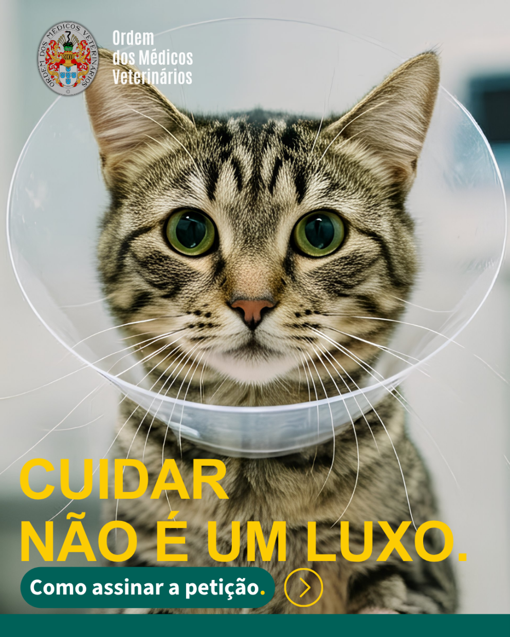 Como assinar IVA 1