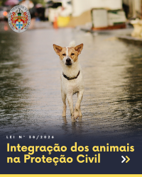 Integração dos Animais na Proteção Civil