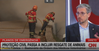 Comentário do Bastonário da OMV na CNN Portugal: Animais passam a integrar os planos da proteção civil