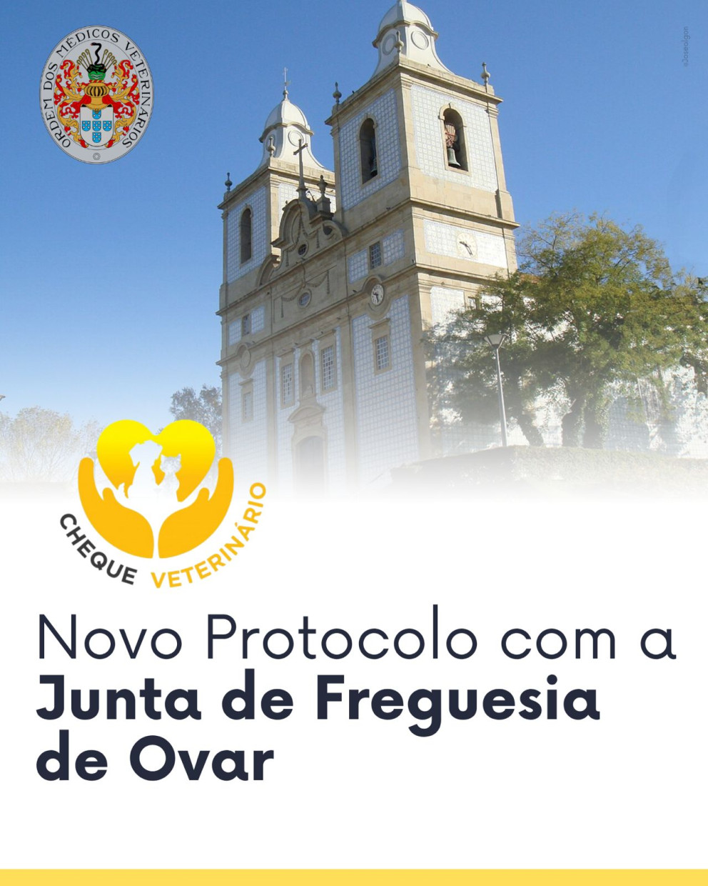 Cheque Veterinário: Novo Protocolo com a Junta de Freguesia de Ovar