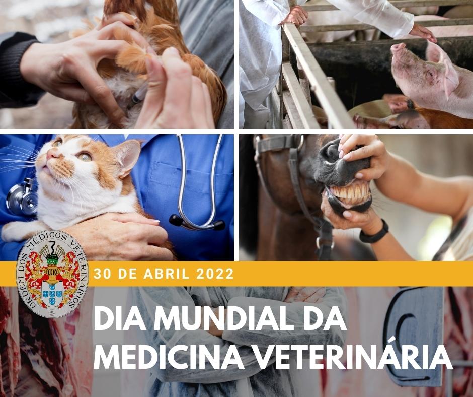 A OMV na Comunicação Social - Dia Mundial da Medicina Veterinária 2022