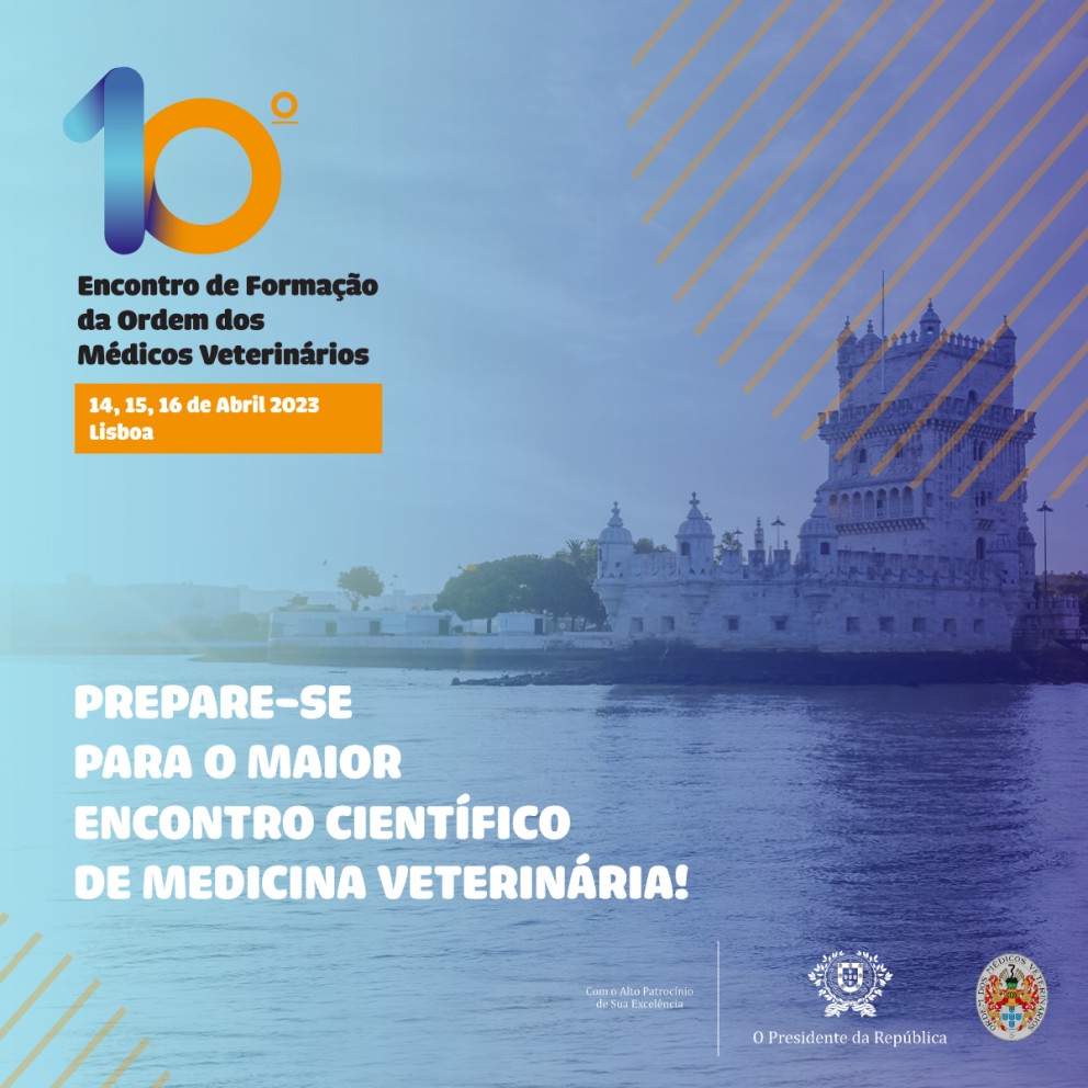 Sabia que tem disponíveis 10 salas, para assistir a mais de 130 palestras de 90 palestrantes no 10º EFOMV? Não perca a oportunidade e inscreva-se já!