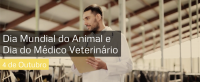 Feliz Dia do Médico Veterinário e Feliz Dia Mundial do Animal! - Vídeo