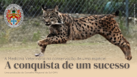 A Medicina Veterinária na conservação de uma espécie: a conquista de um sucesso