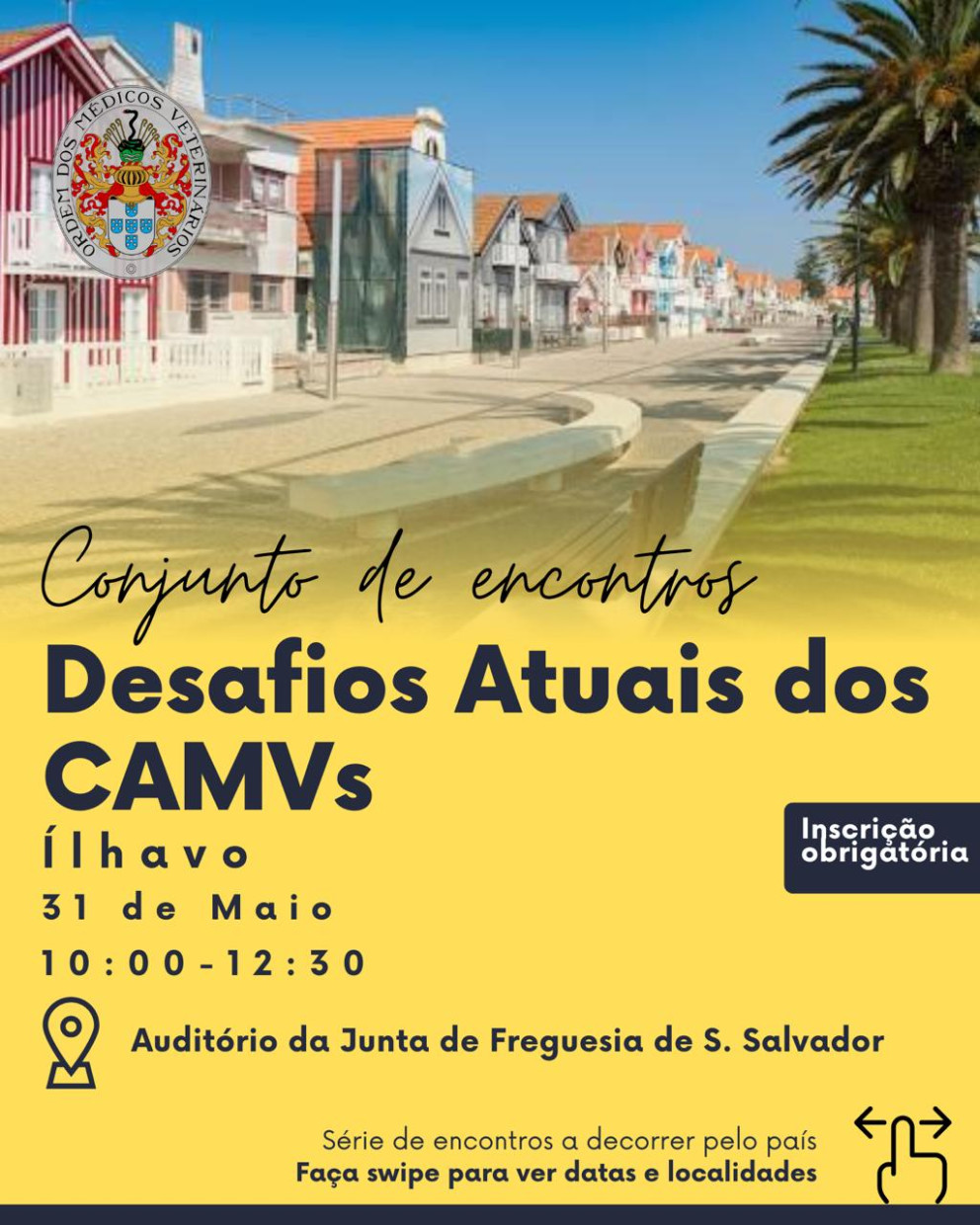 Conjunto de Encontros - Desafios Atuais dos CAMV - Ílhavo